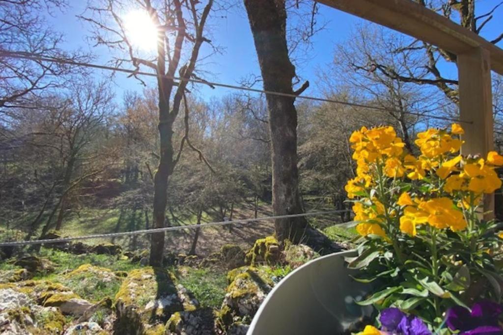 Holiday home La Jonquille Gramat