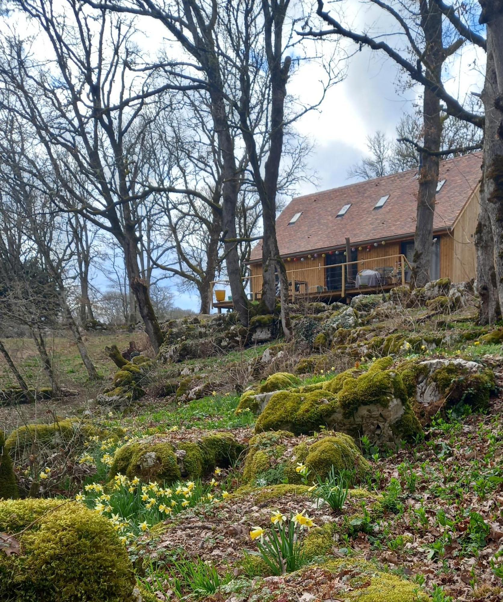 La Jonquille Holiday home